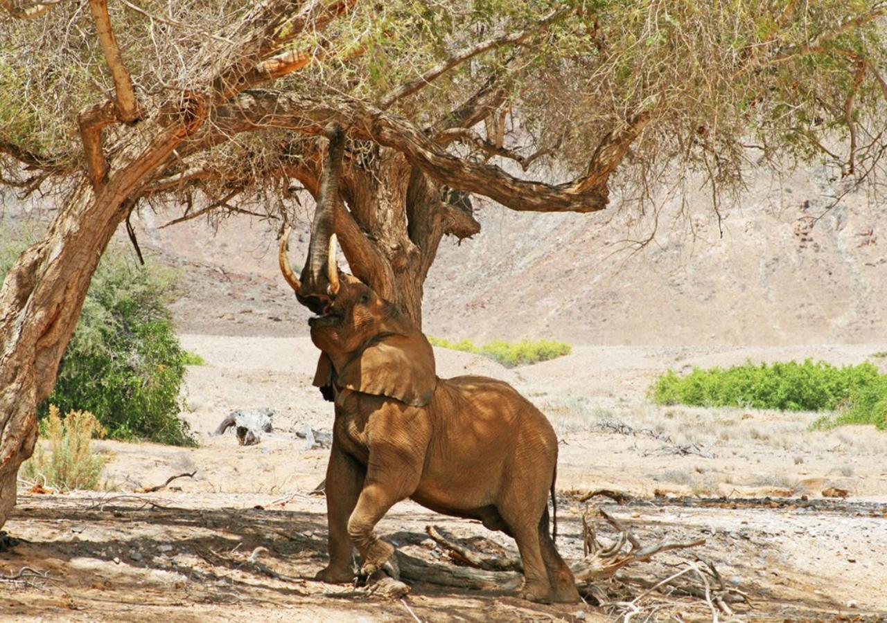 Khowarib Lodge Bagian luar foto