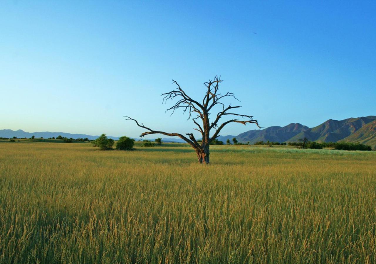 Khowarib Lodge Bagian luar foto