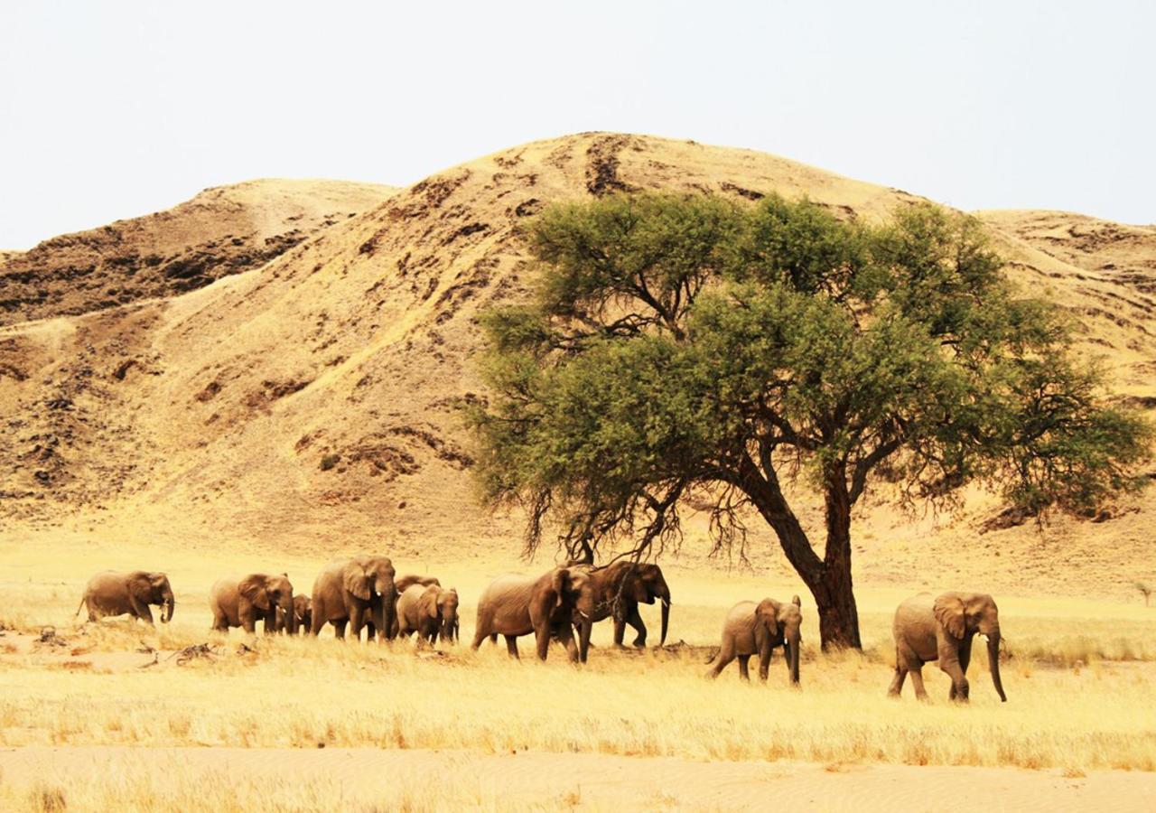 Khowarib Lodge Bagian luar foto
